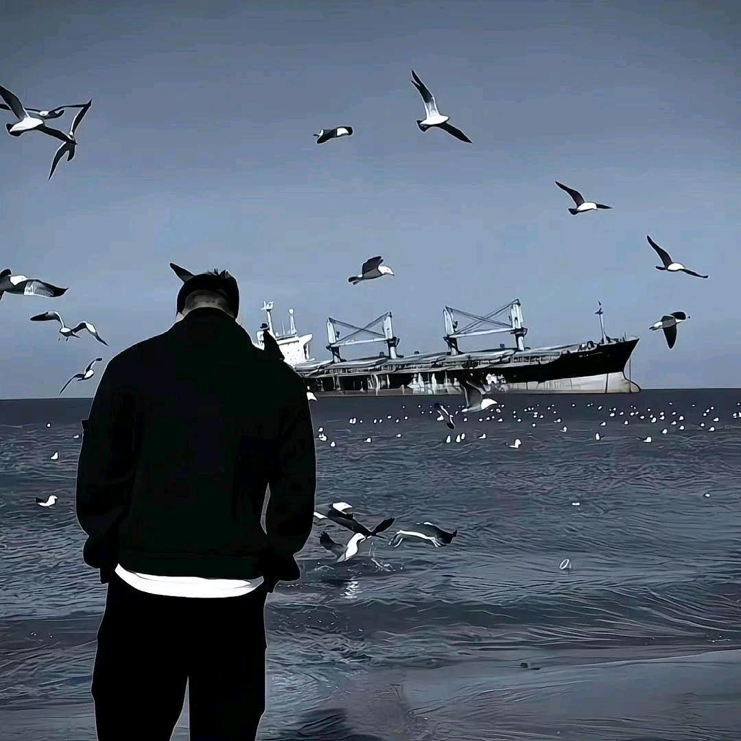 听海风诠释浪漫