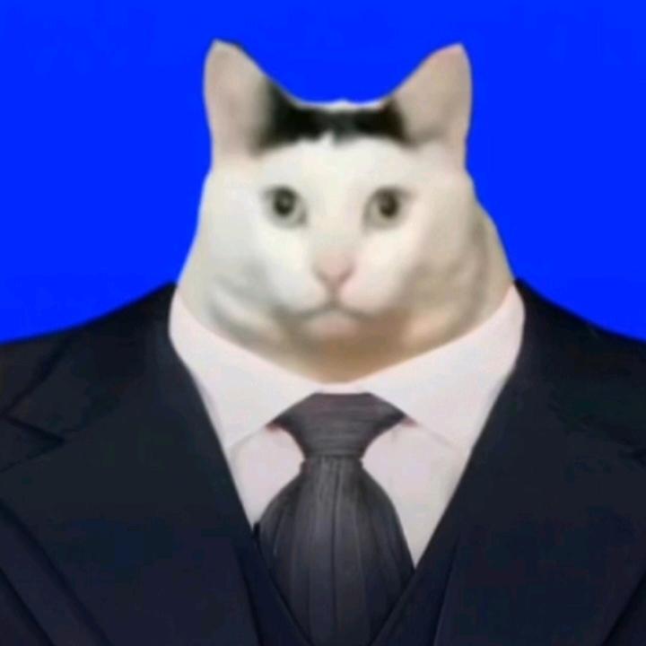 劲嘿小剧场（猫 meme 版）