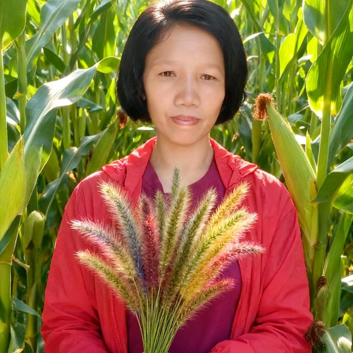 野菊花🐖🐅🐇2011