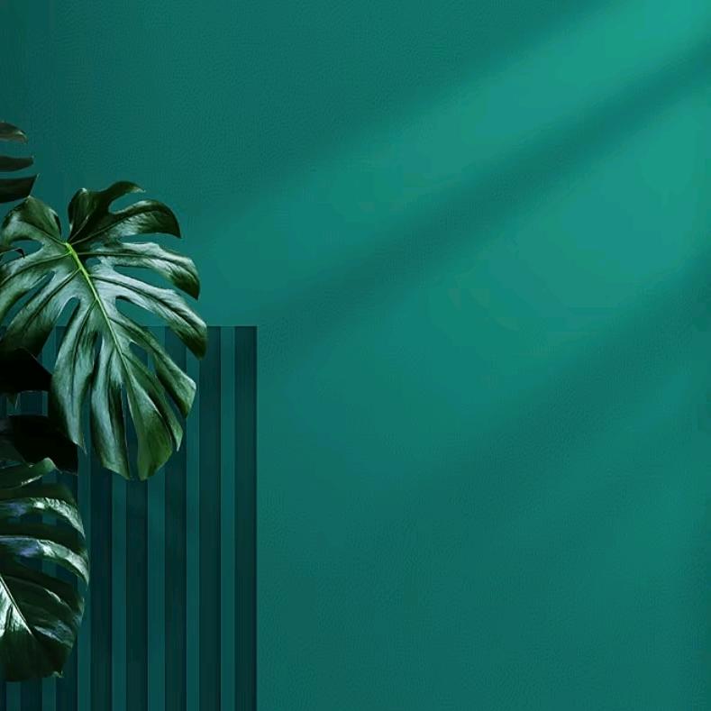 唐狮(万达广场长春上海路店)益仟枫直播六号