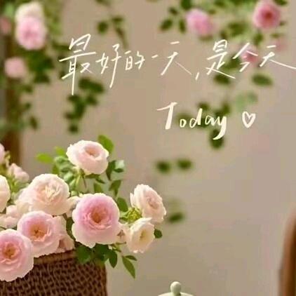 🌸