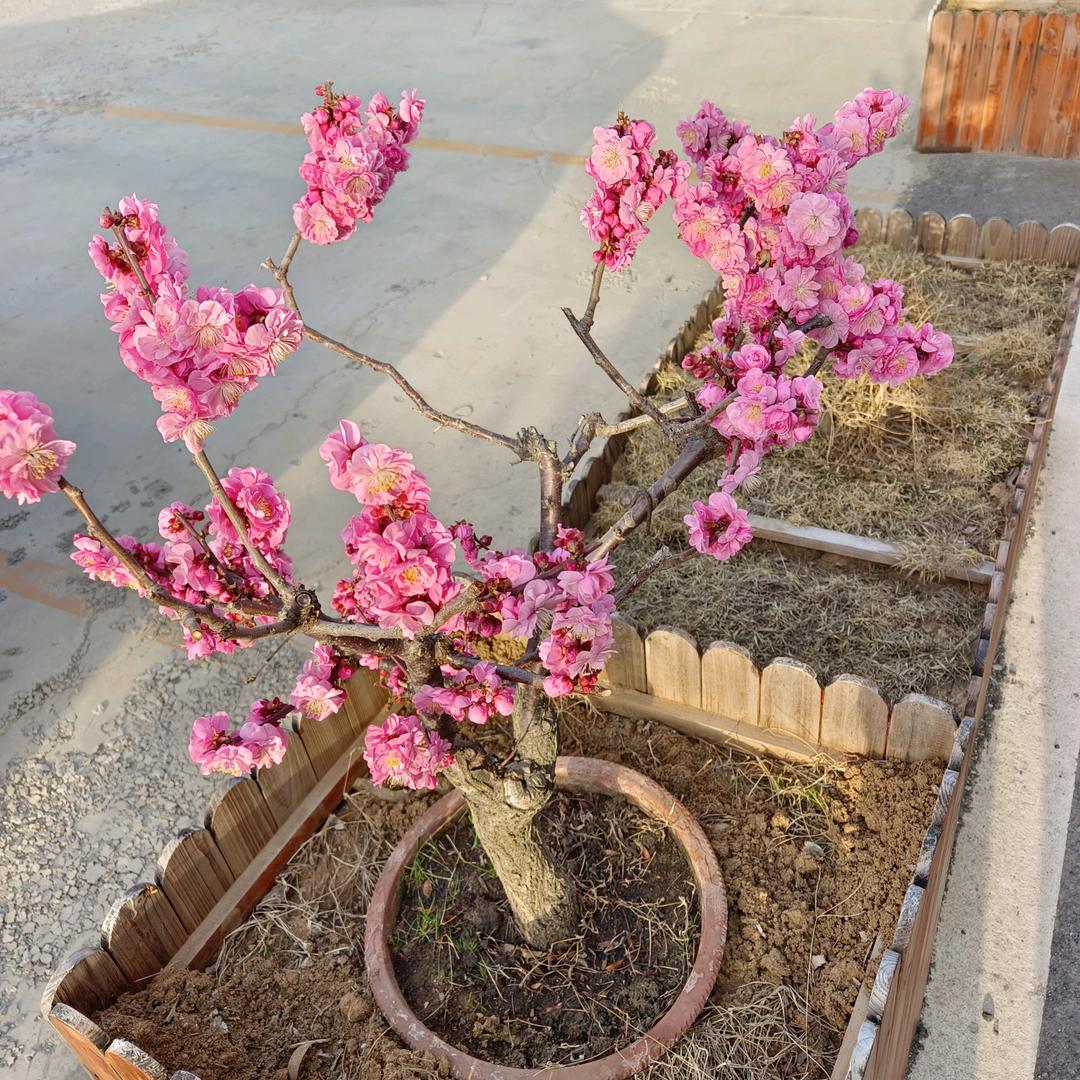 笑傲浆糊威南14