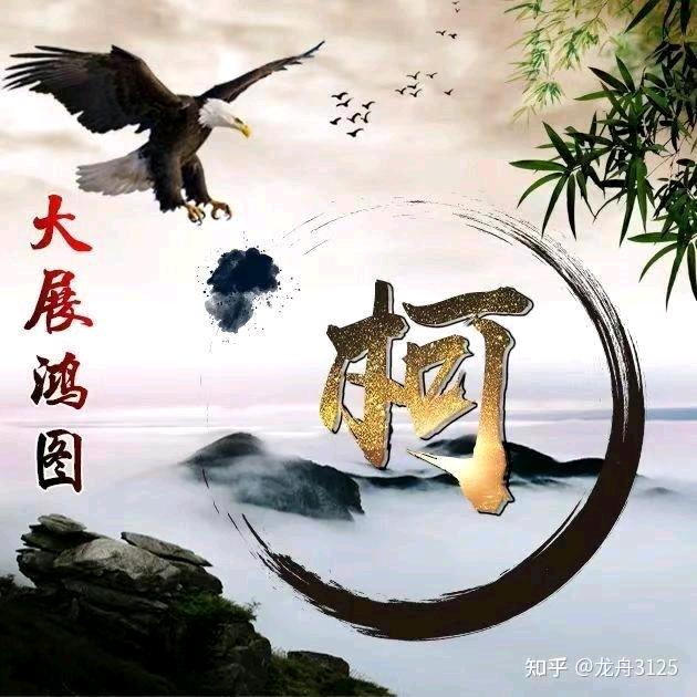 农村小柯