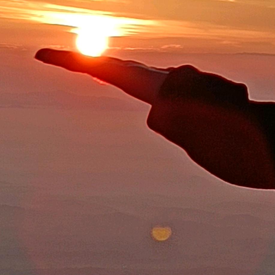 黎明终将会到来