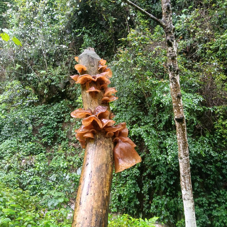 不记得喜欢过你