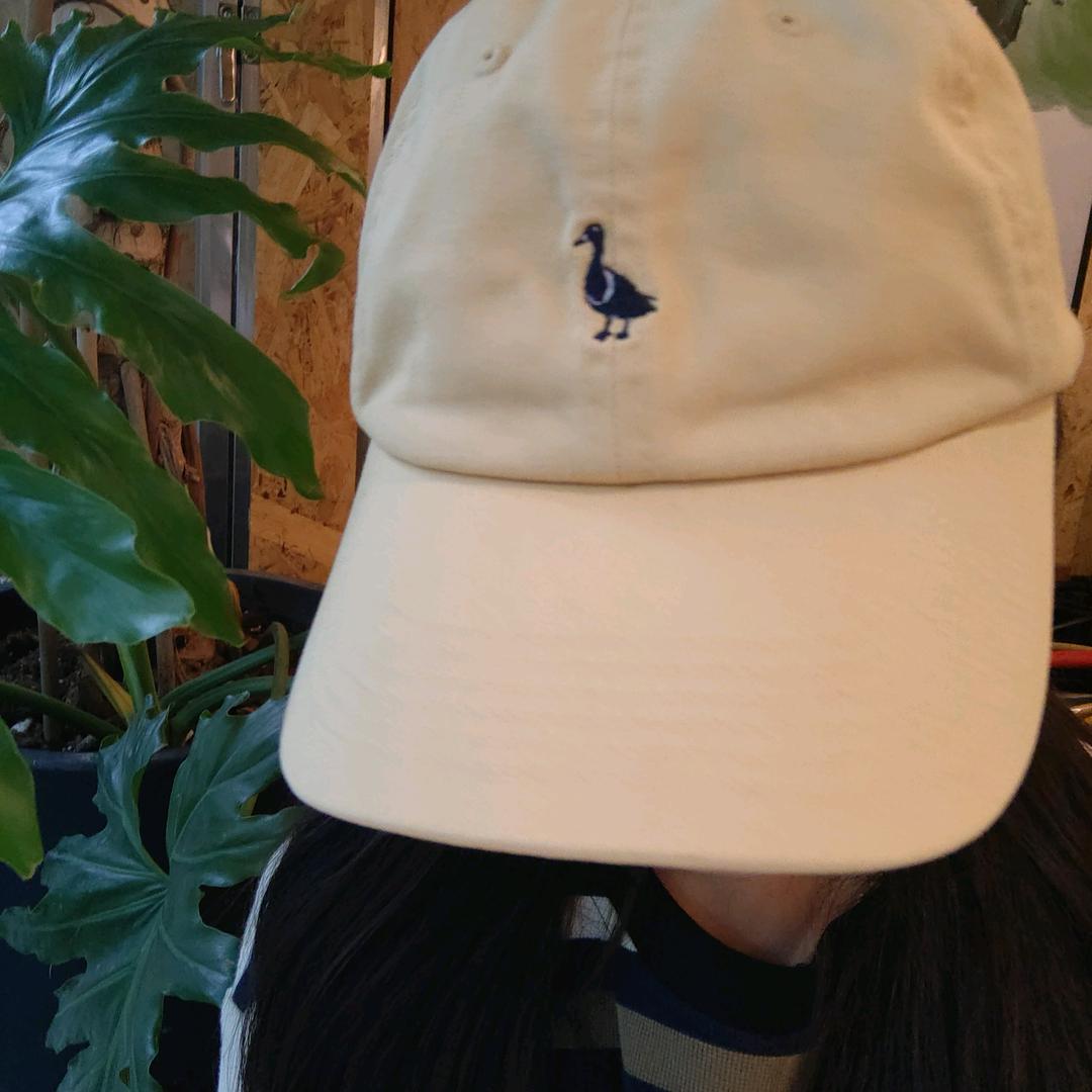 程ccq～