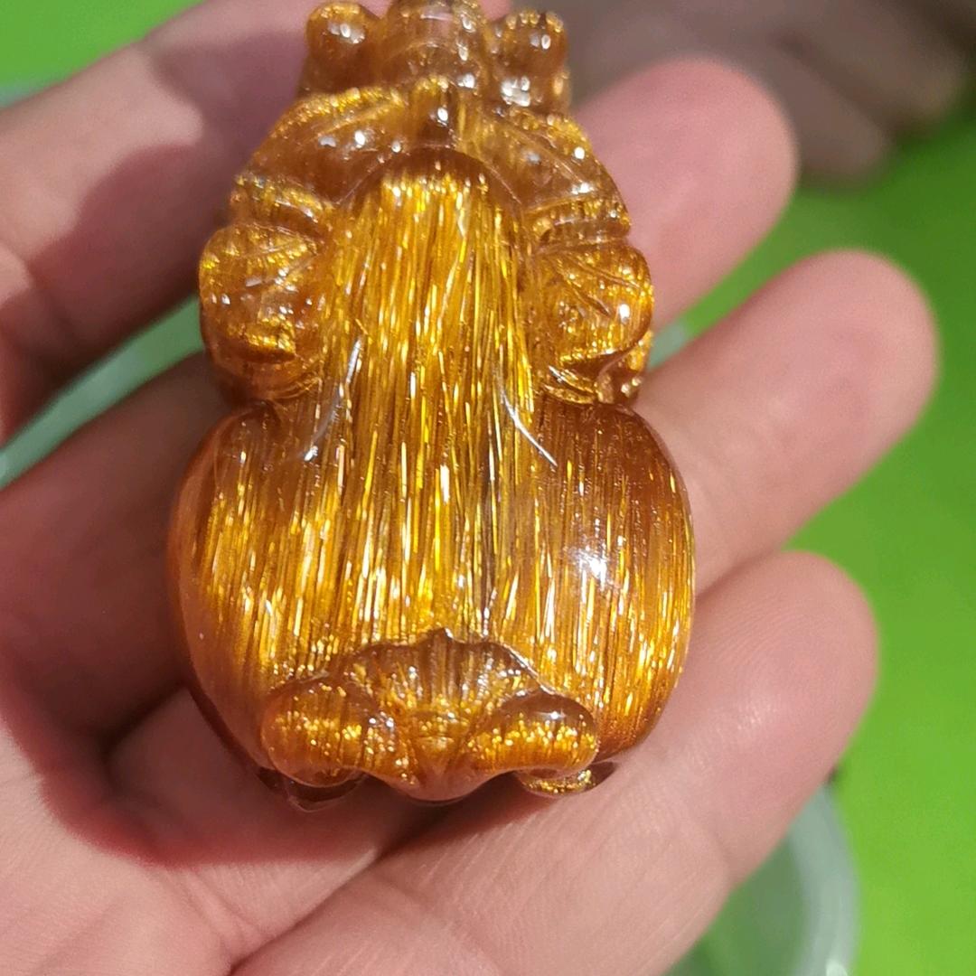 打不死的小强