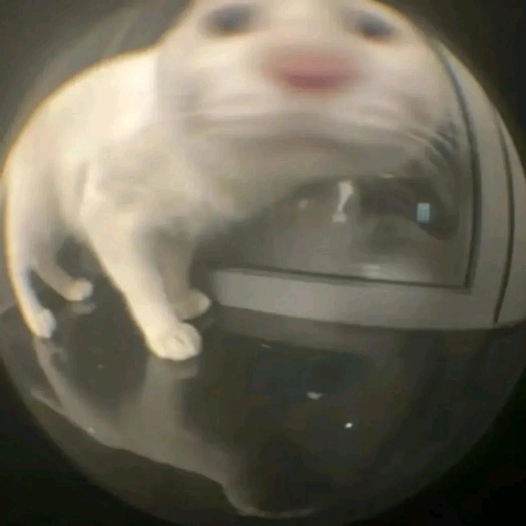 小厌