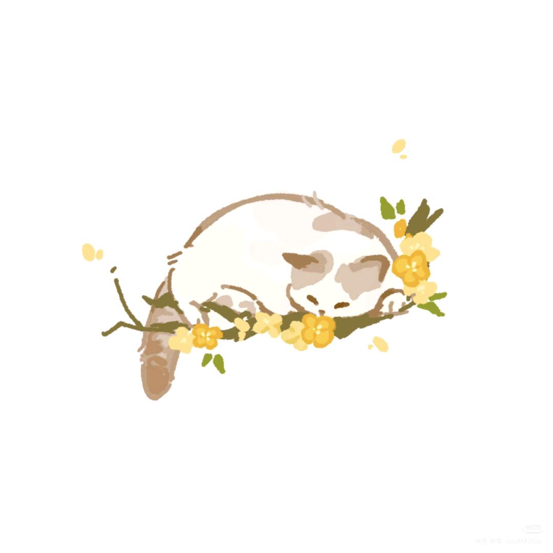 橘络
