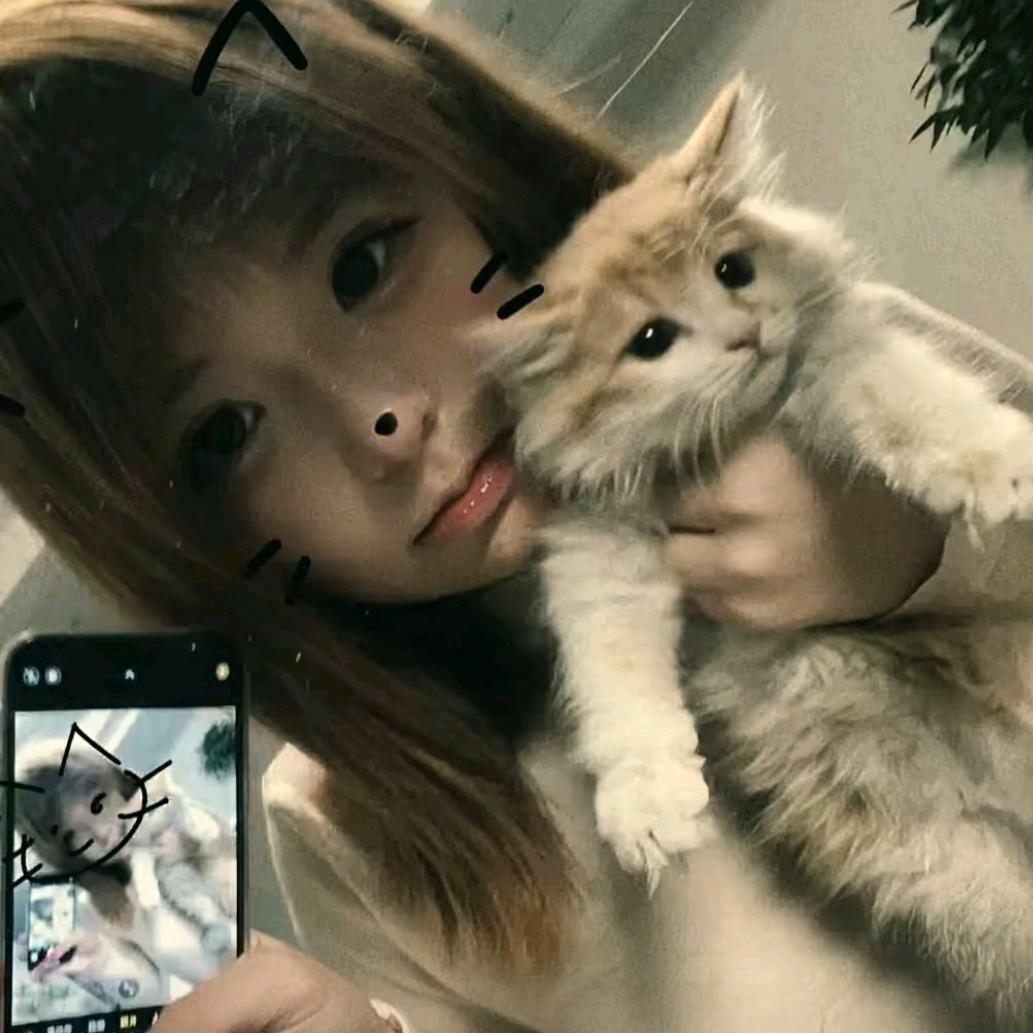 桂哥.M