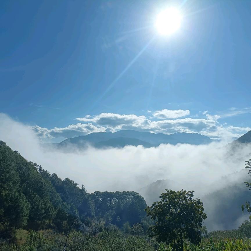 山里局  局长