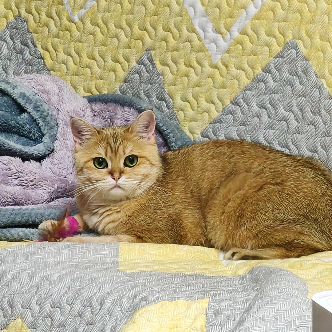 一切发生皆有利于我！！