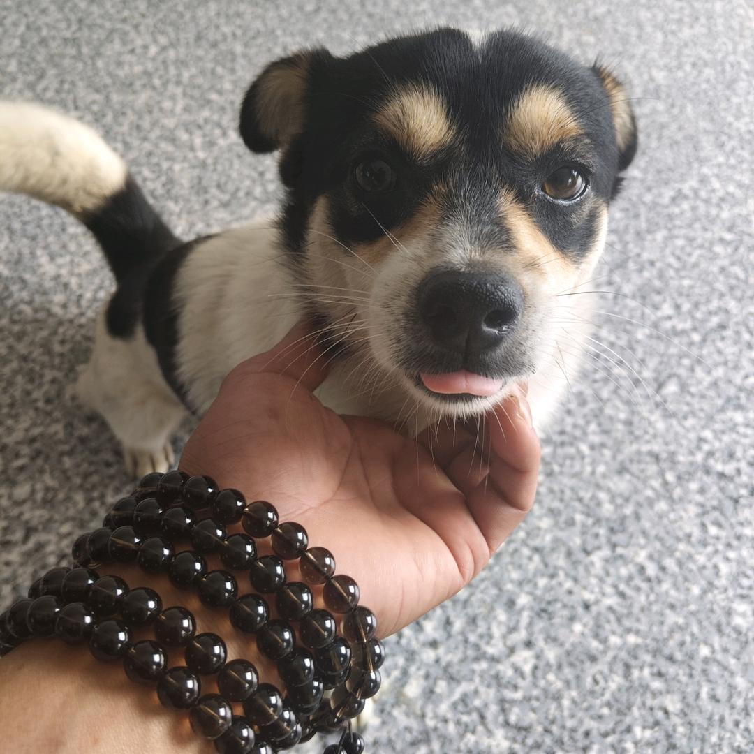 🏋‍♂️💰寒夏💰🏋🏼‍♀️