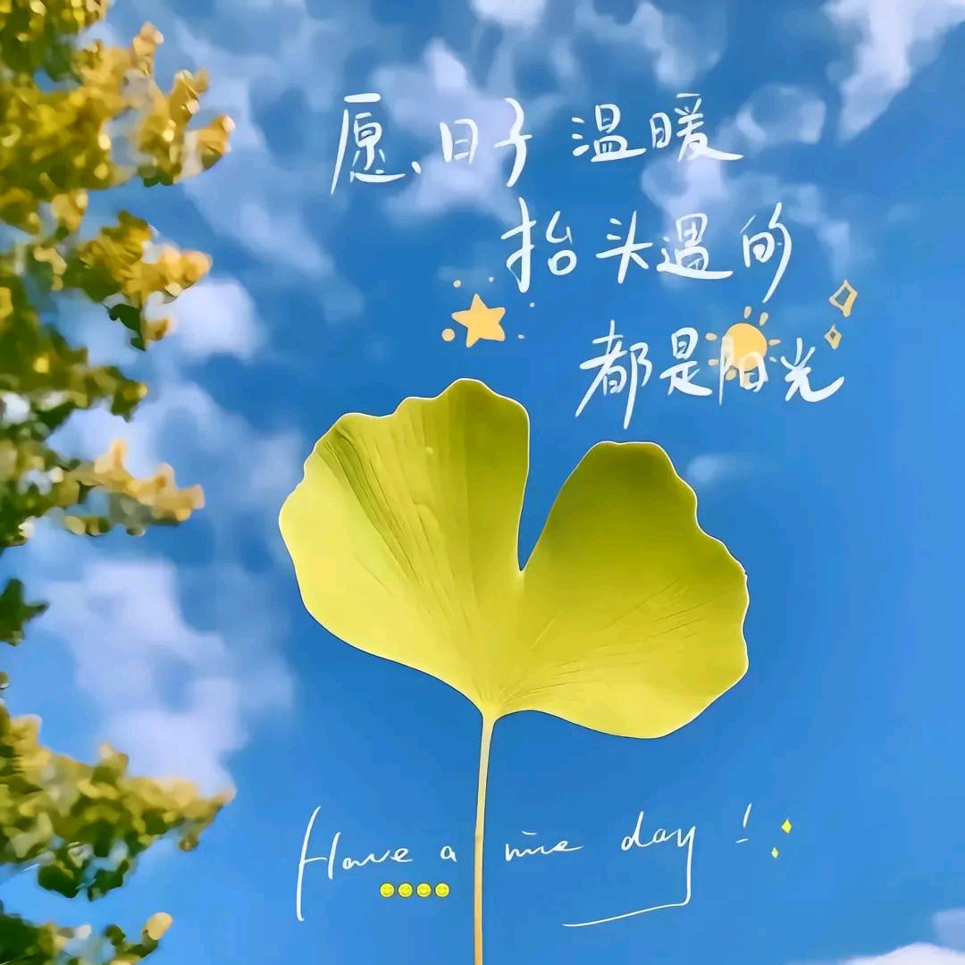 💞听ᨶ႒ᩚ说糖很甜এ