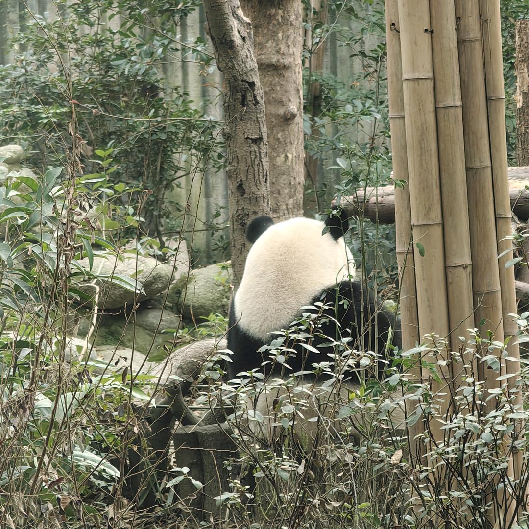 不知道起什么名字