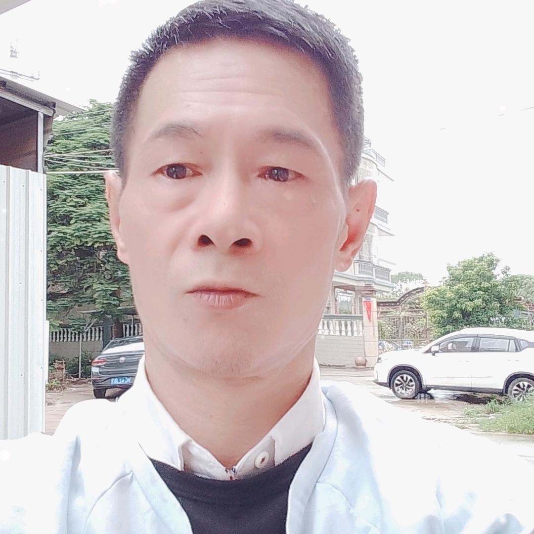 晨影歌