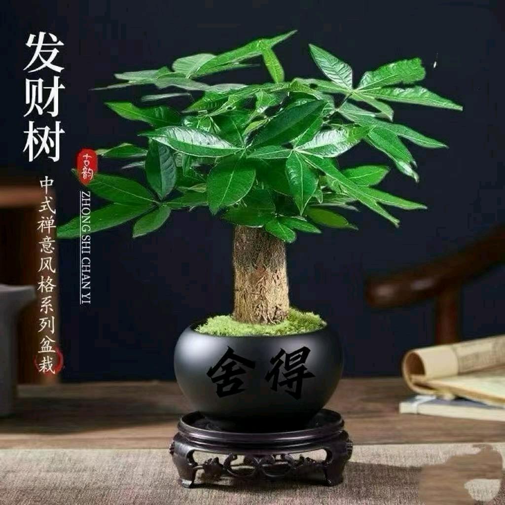 担心未来