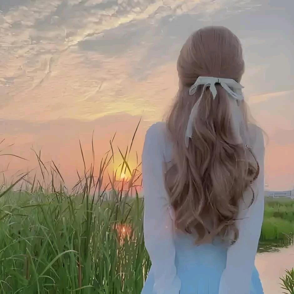 晚风吻花