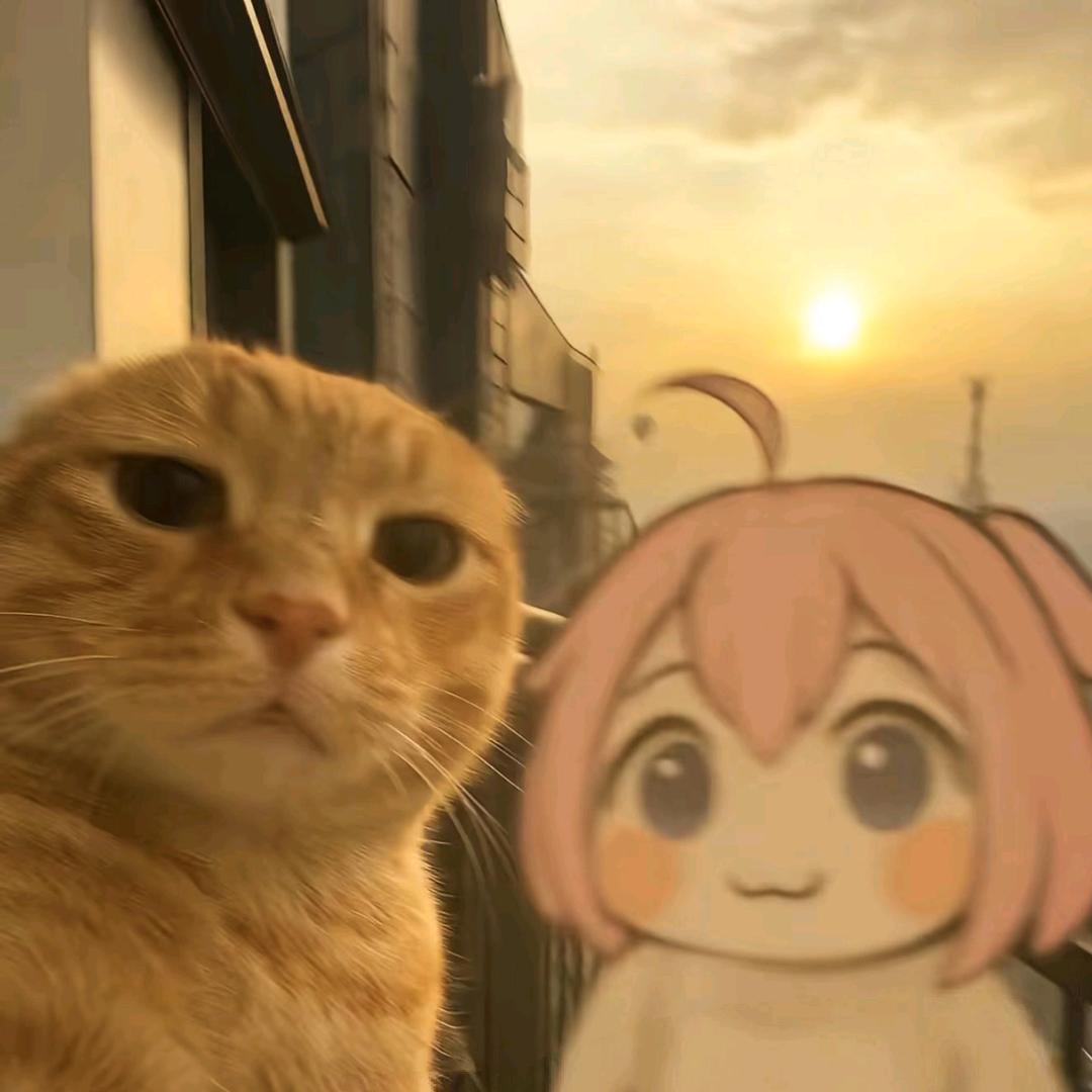 南戈