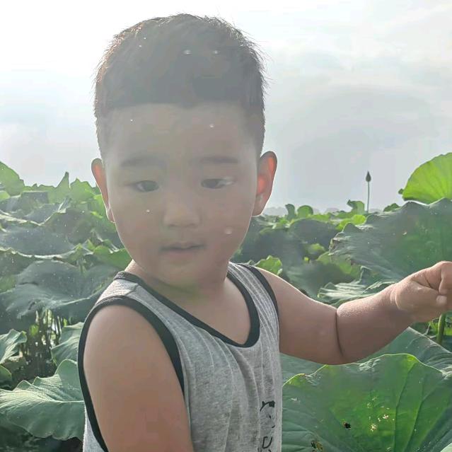 小海哥