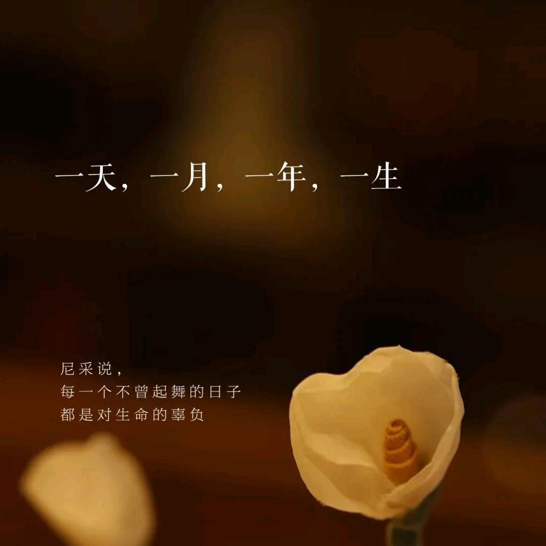 💕开心就好💕