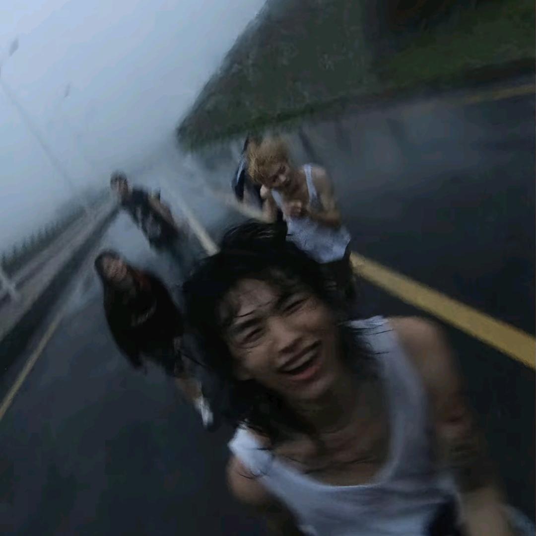 蓝桉长在洱海边