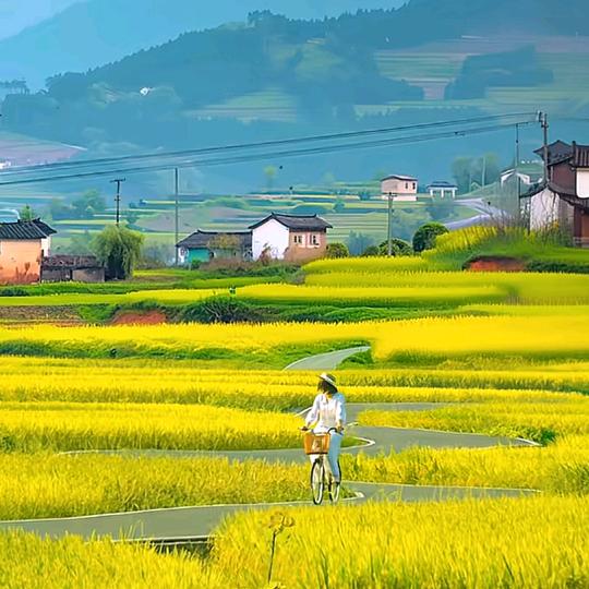 如果，下一位