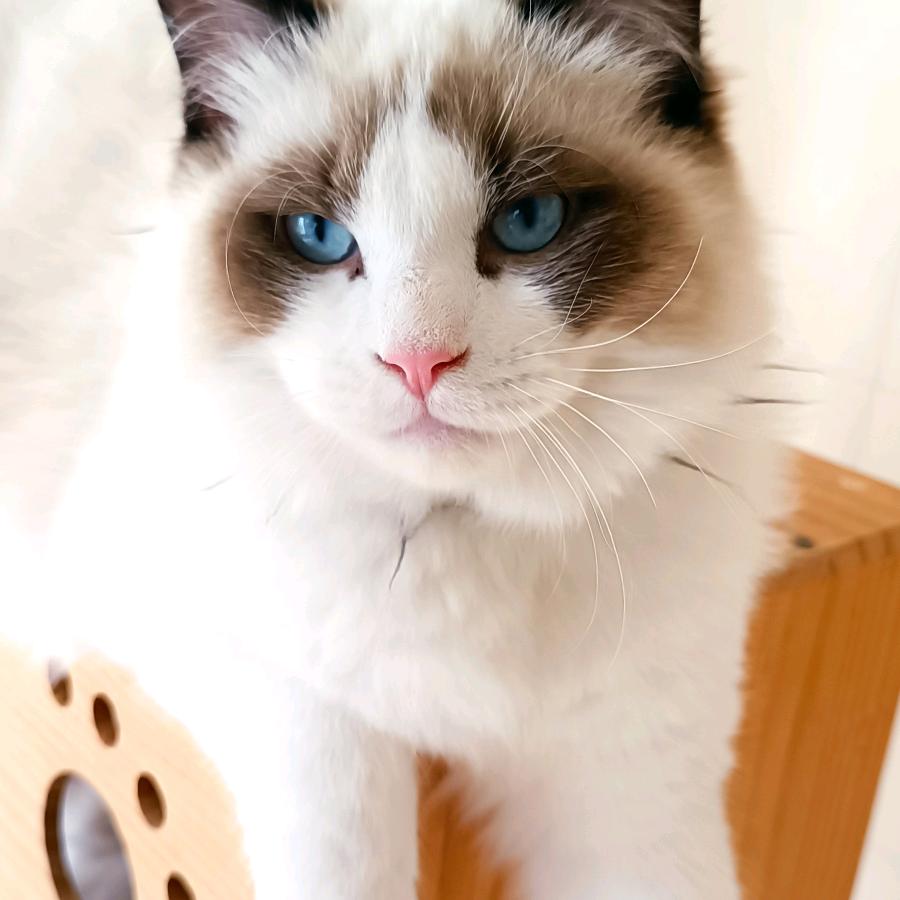 找家(早6点直播)