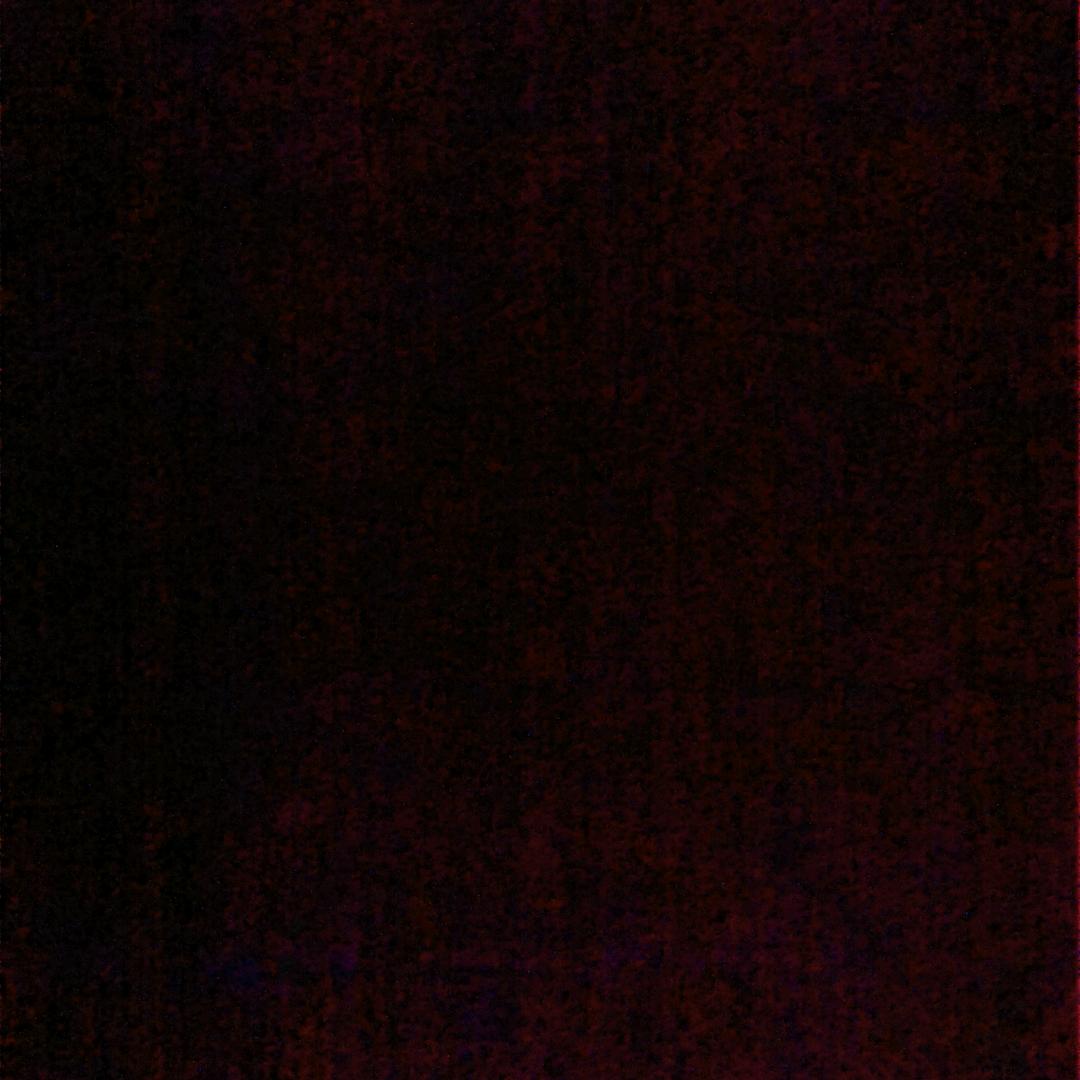 夕阳红
