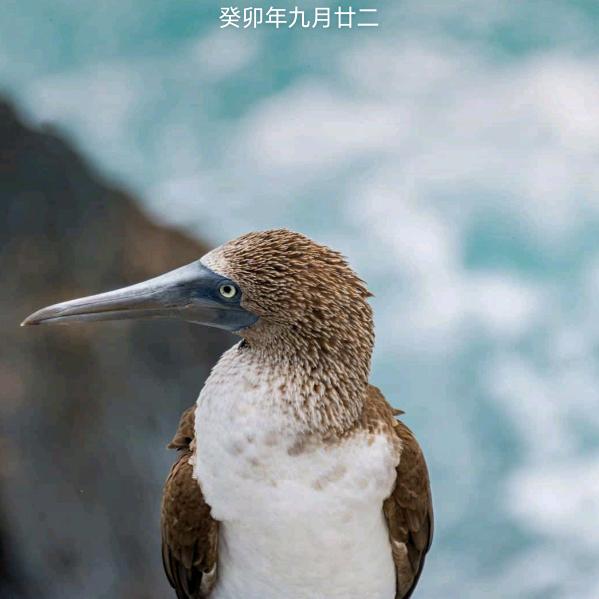 大叔🚬爱财