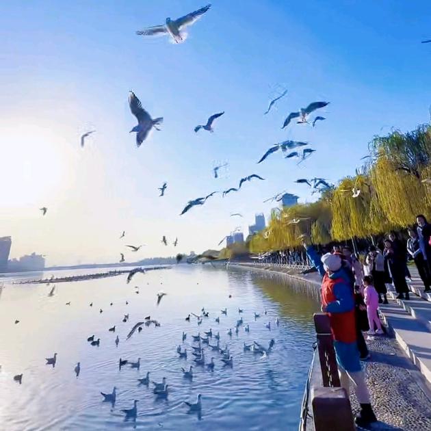 ꦿ᭄໊顺諆🕊洎繎᭄ꦿᩚ