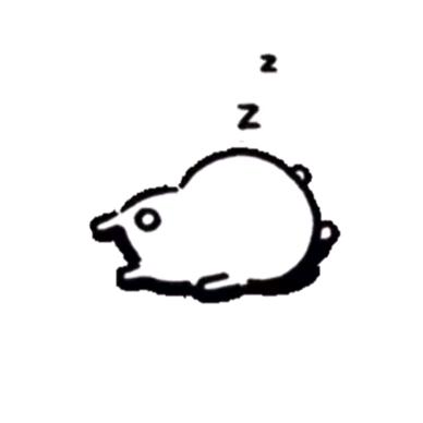 DeepSleep