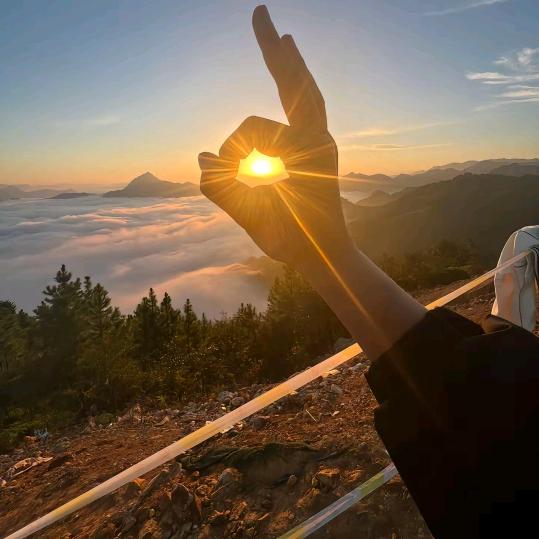 用户52幸福田蜜11379506683