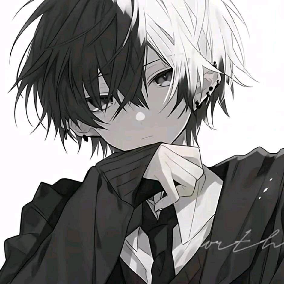 云帝12月1日回归