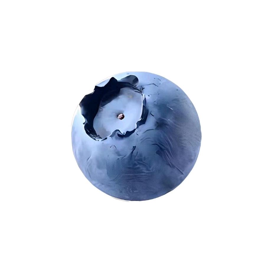 “蓝莓”