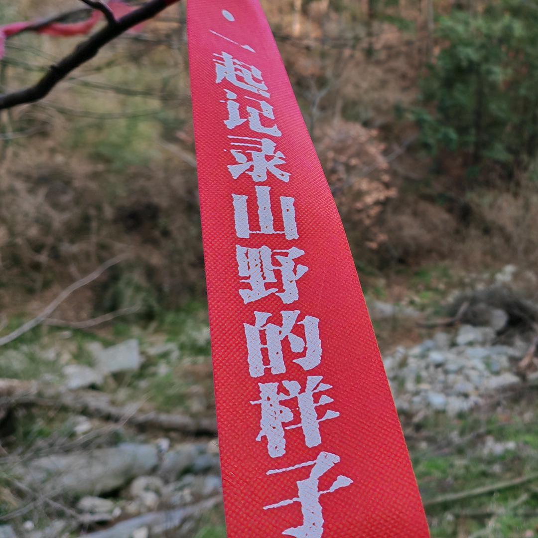 一颗茁壮成长的小韭菜