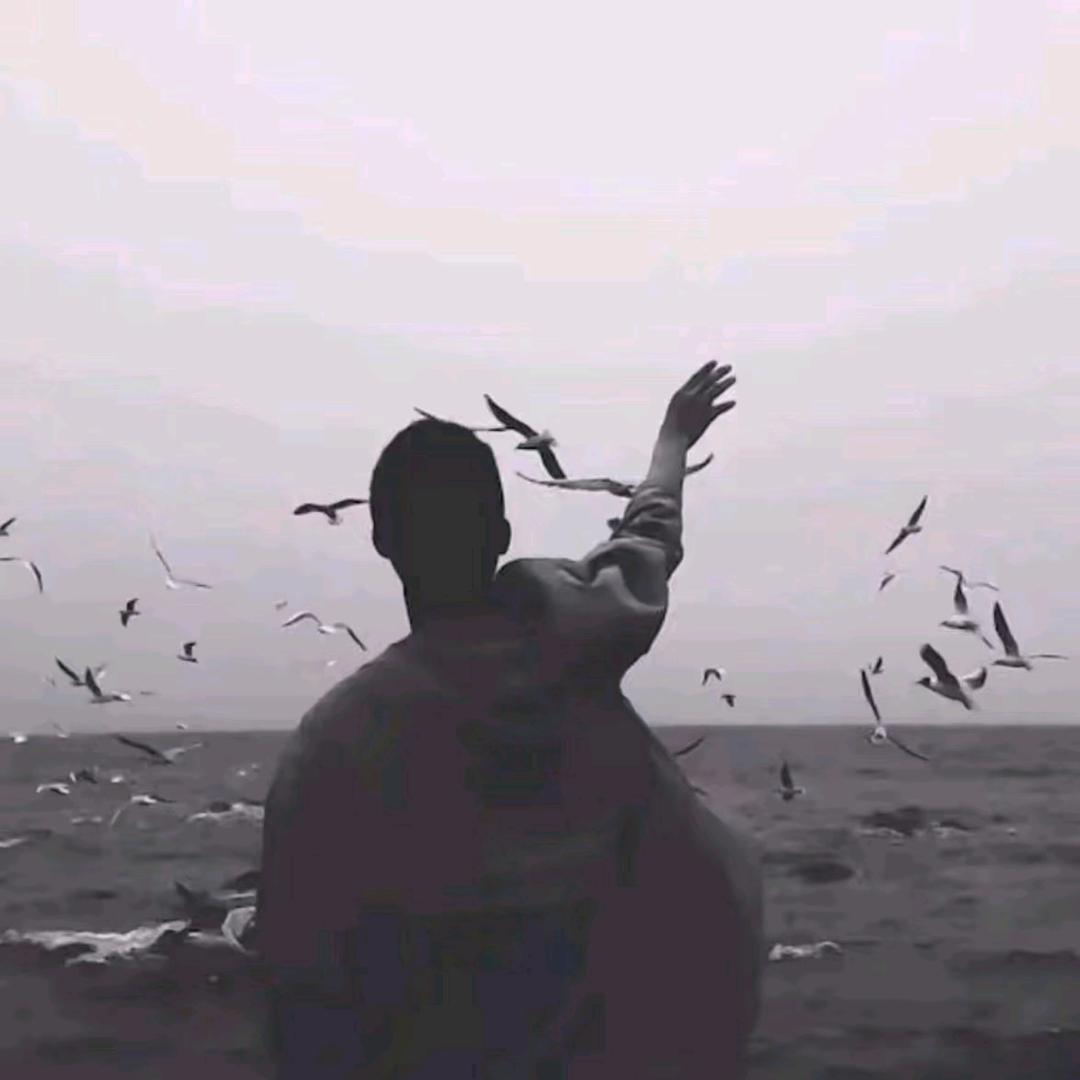 曹国舅