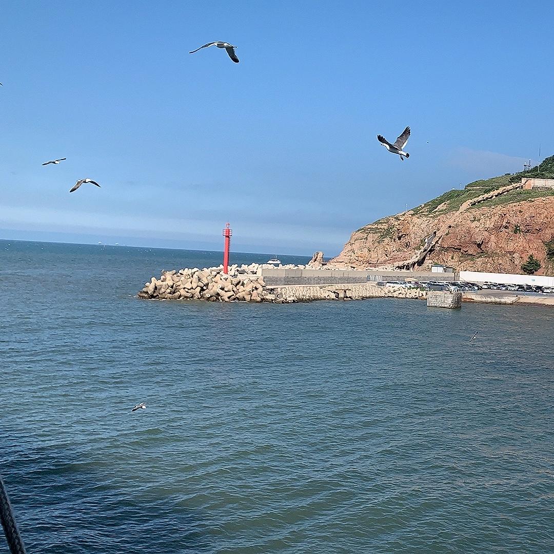 可乐志（国小志切片）