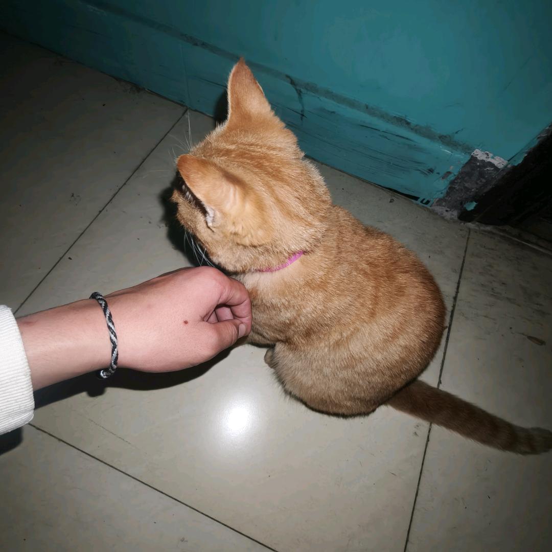 ✈︎青·墨 ◡̈