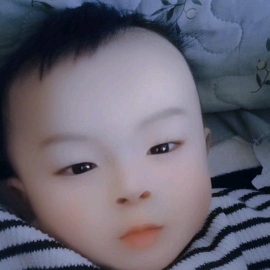卢家大少爷