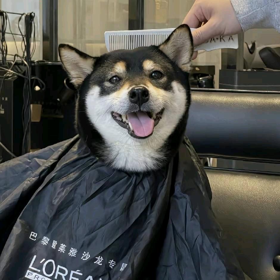 小宇在广州