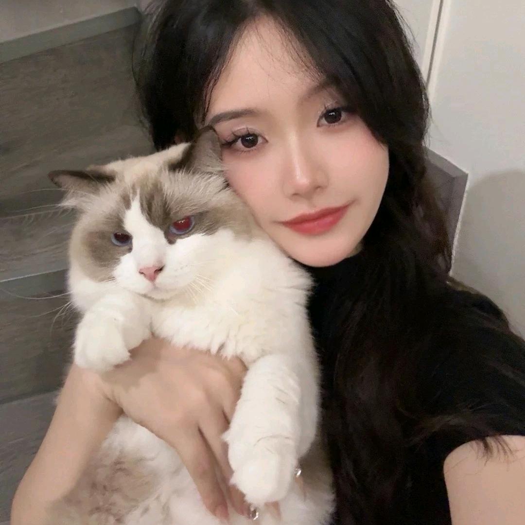 深圳好房找小英