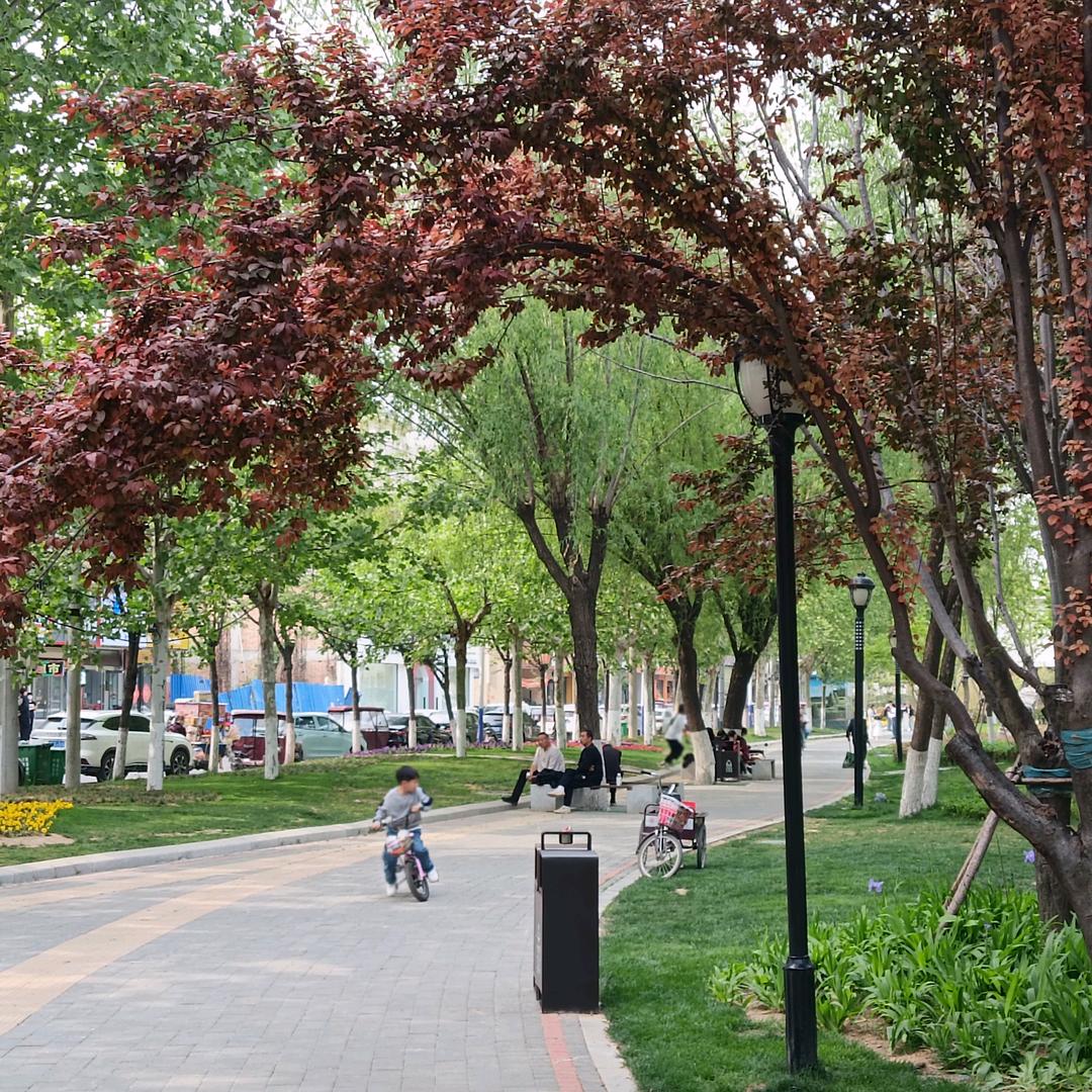 平安熹乐（基地）