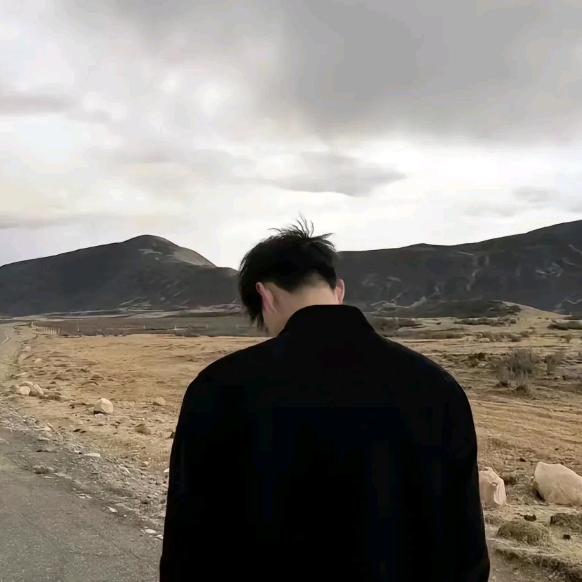 鹤归✨