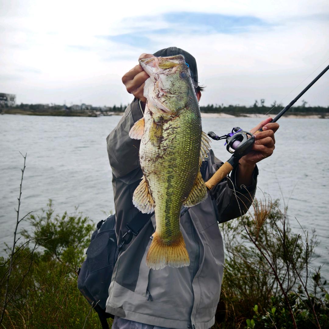 爱钓鱼的坚果（跑毒仔）