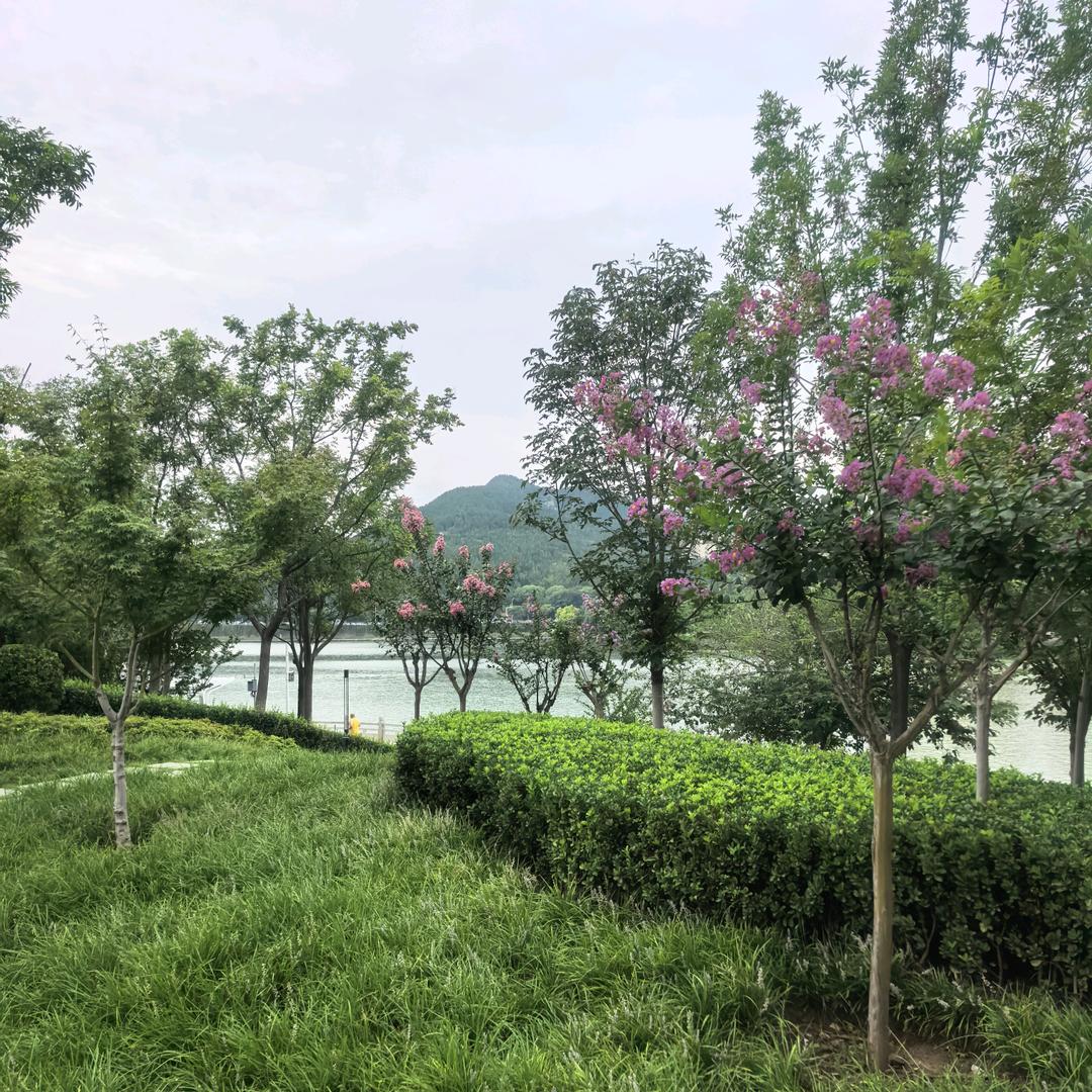 继杰