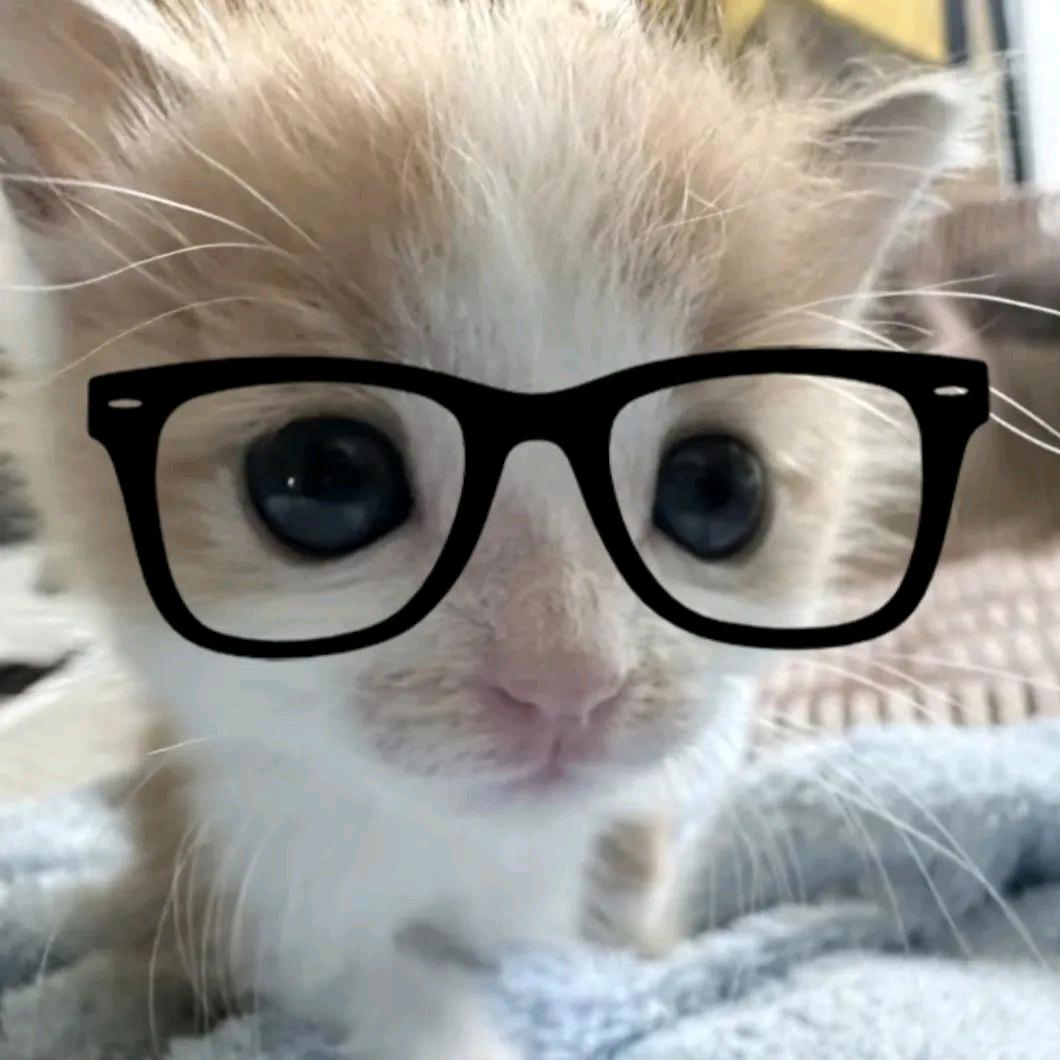 邀请了你的猫