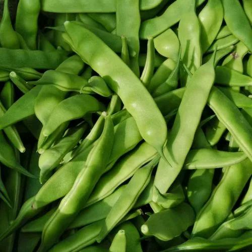 王大小子东北农产品