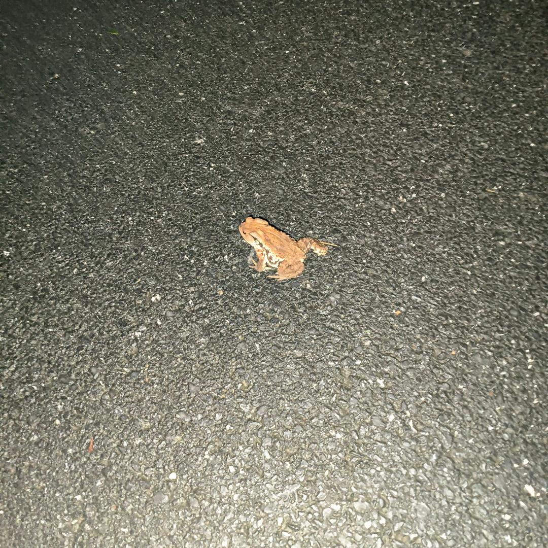 分我一杯羹
