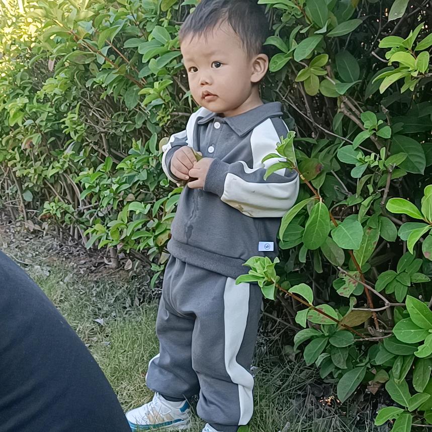 我是小天才，可爱又聪明